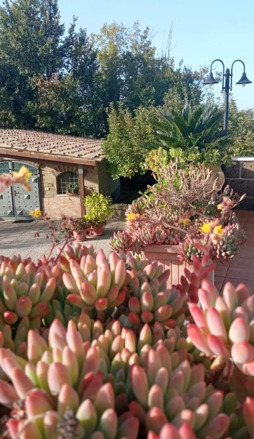 La Casa Sull'Aia,Av Bed and Breakfast Santo Stefano del Sole Buitenkant foto