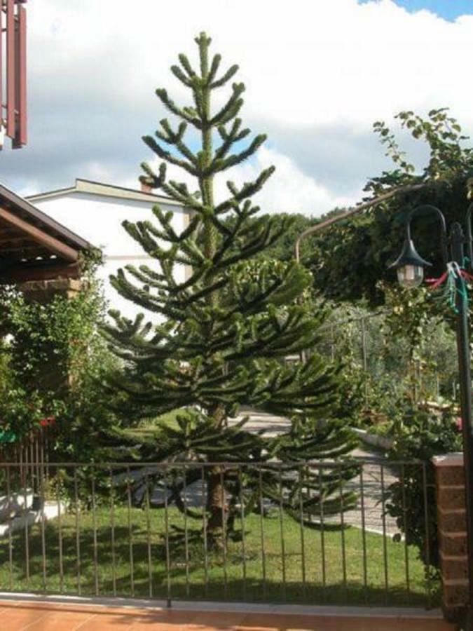 La Casa Sull'Aia,Av Bed and Breakfast Santo Stefano del Sole Buitenkant foto